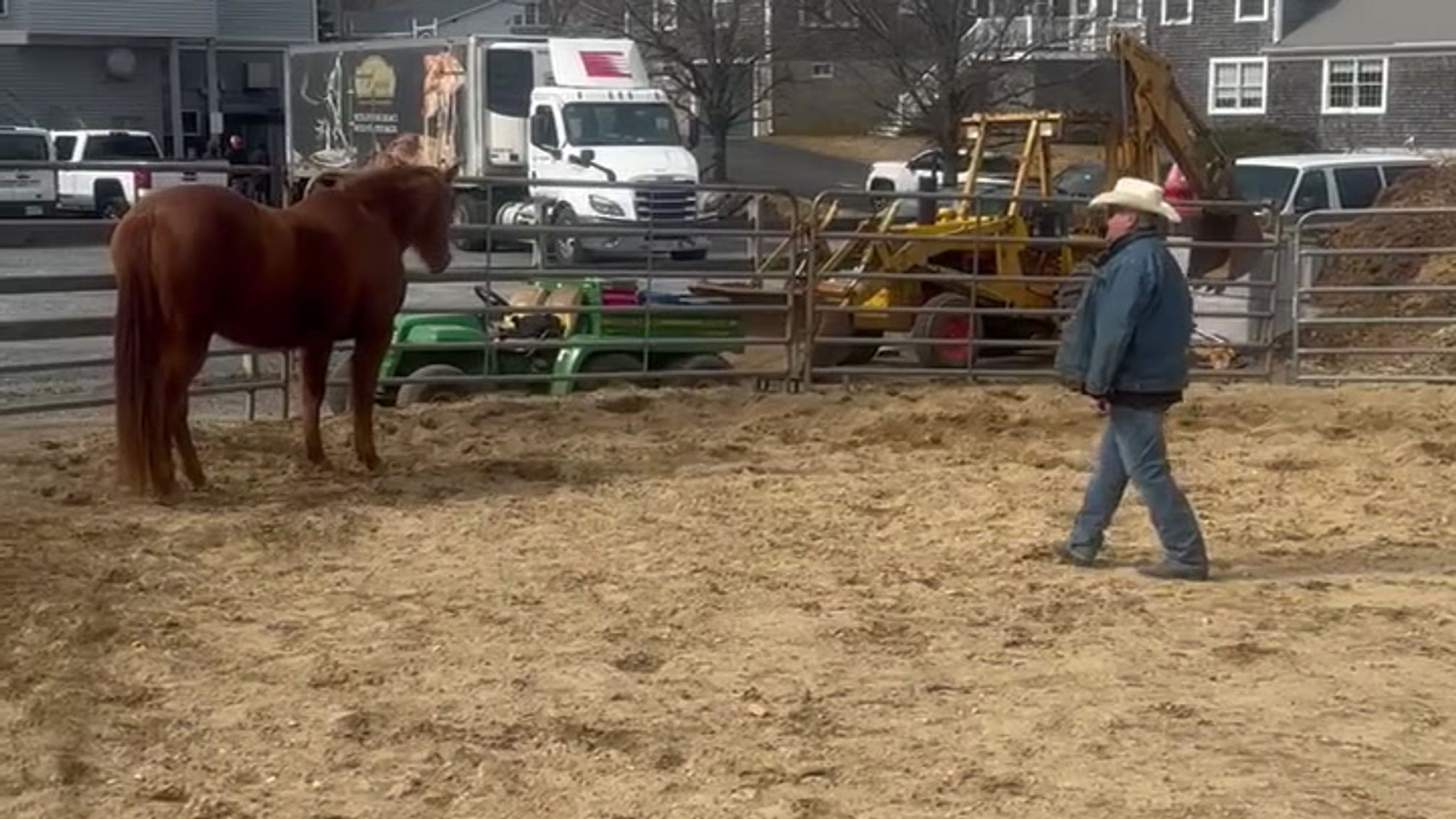 Joining Up Horse Training